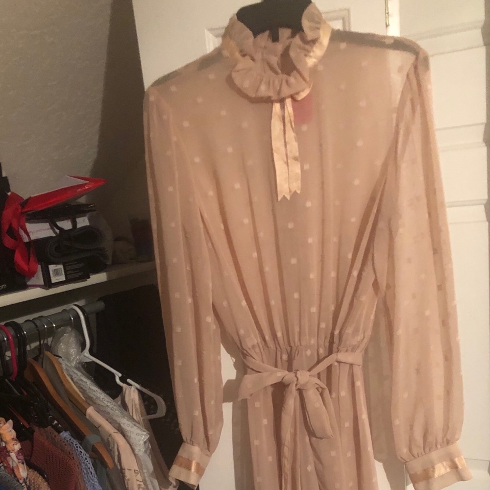 Vintage consignment shop dress